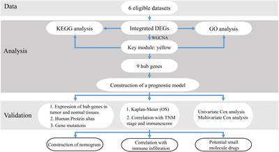 Frontiers Comprehensive Analysis Of A Nine Gene Signature Related To